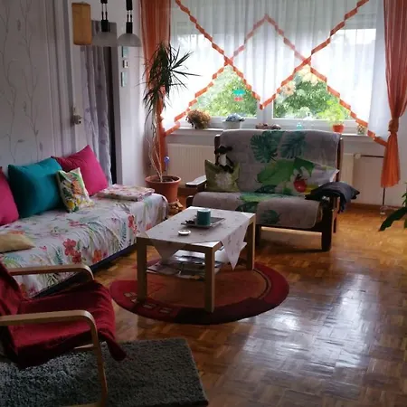 Haus-in-gemuenden-an-der-wohra Apartment